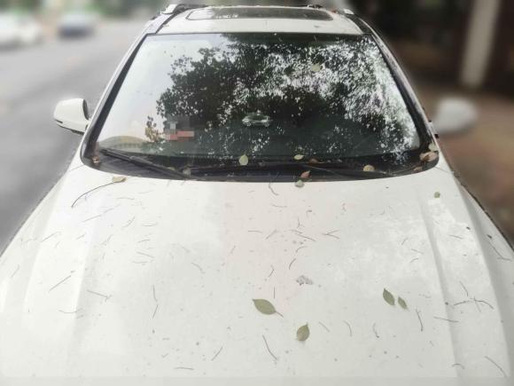 [南昌·赣A] 二手哈弗哈弗H62015款 改款 运动版 1.5T 手动两驱精英型