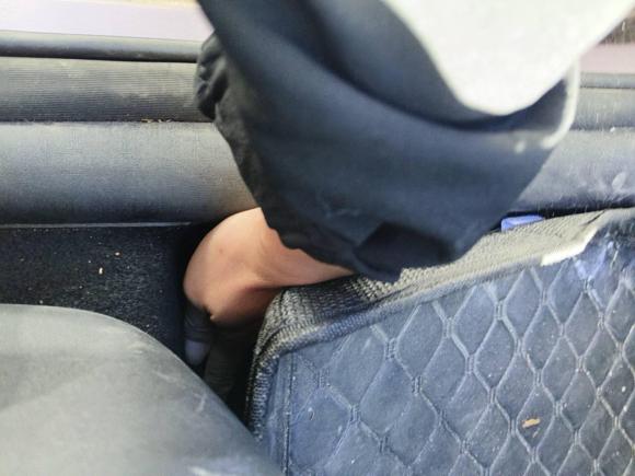 [常州·苏D] 二手比亚迪海豚2021款 405km 时尚版