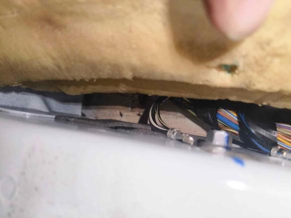 [佛山·粤X] 二手福特福睿斯2015款 1.5L 自动舒适型