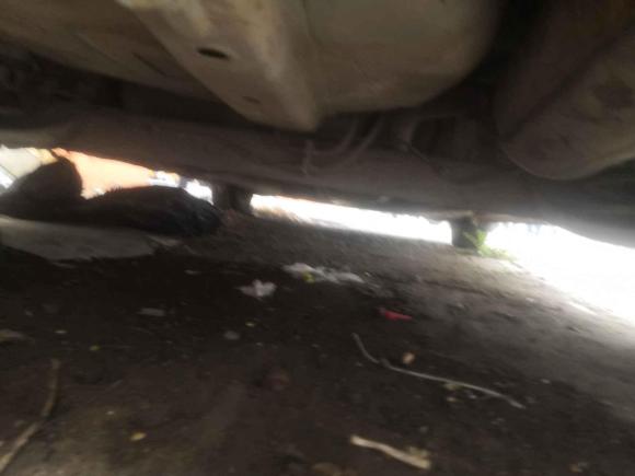 [南京·苏A] 二手铃木雨燕2013款 1.3L 手动超值版