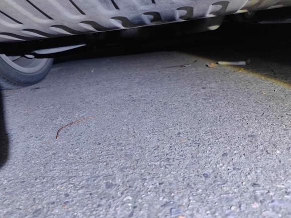 [上海·苏D] 二手凯迪拉克凯迪拉克ATS-L2017款 28T 时尚型