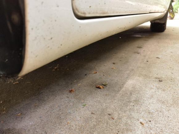 [济南·鲁A] 二手北汽绅宝绅宝D502014款 1.5L CVT标准版