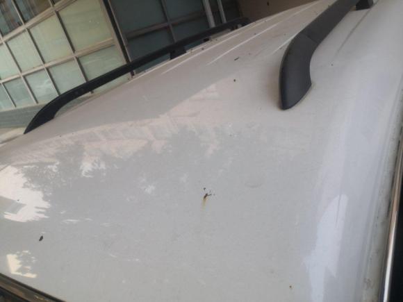 [成都·川A] 二手猎豹汽车猎豹Q62015款 2.4L 手动四驱卓越型