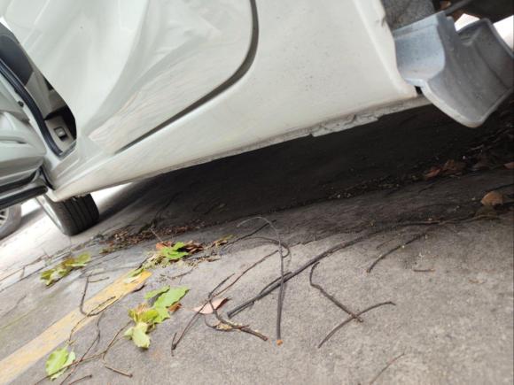 [上海·苏E] 二手本田思域2012款 1.8L 自动舒适版