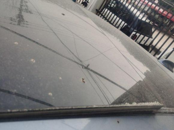 [温州·浙C] 二手沃尔沃沃尔沃S902018款 T4 智远版