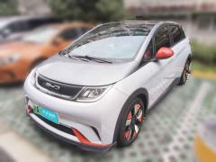 [上海·沪A] 比亚迪海豚2021款 401km 骑士版