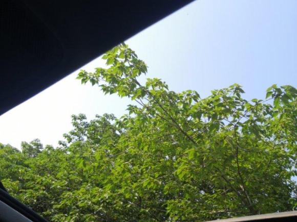 [上海·浙F] 二手奥迪奥迪A4L2018款 30周年年型 40 TFSI 进取型