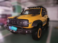 [上海·沪E] 坦克坦克3002022款 2.0T 边境限定版