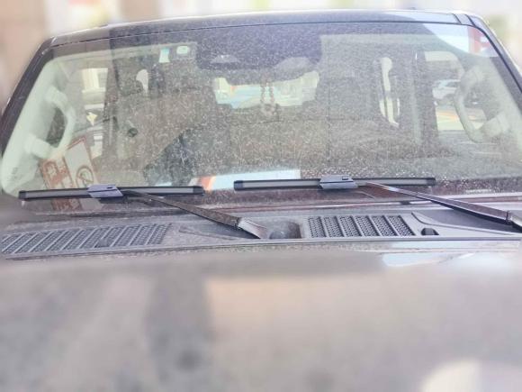 [宁波·浙B] 二手坦克坦克3002021款 越野版 2.0T 征服者