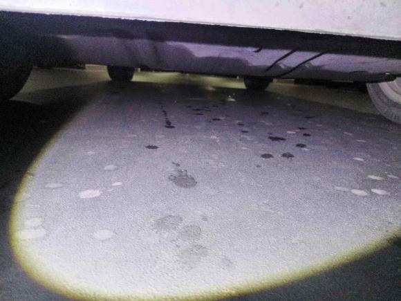 [上海·沪A] 二手雪佛兰畅巡2021款 星云版