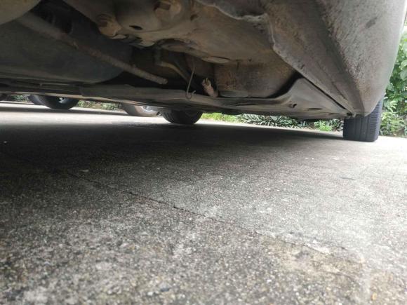 [深圳·粤B] 二手斯柯达昊锐2009款 1.8TSI 自动优雅版