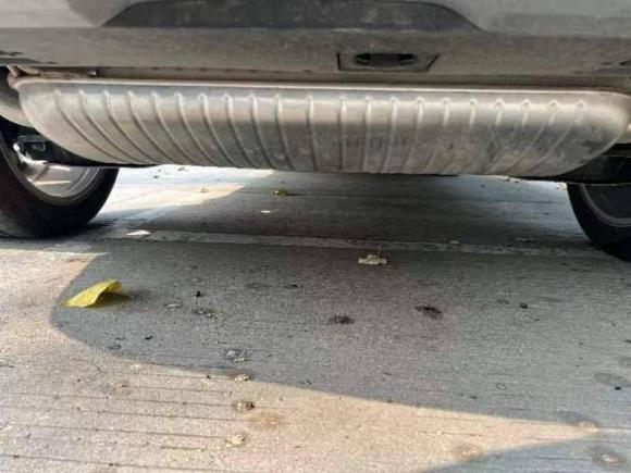 [上海·沪C] 二手大众途昂2022款 530 V6 四驱尊崇旗舰版