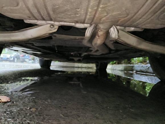 [成都·川A] 二手奔驰奔驰GLA2016款 GLA 200 时尚型