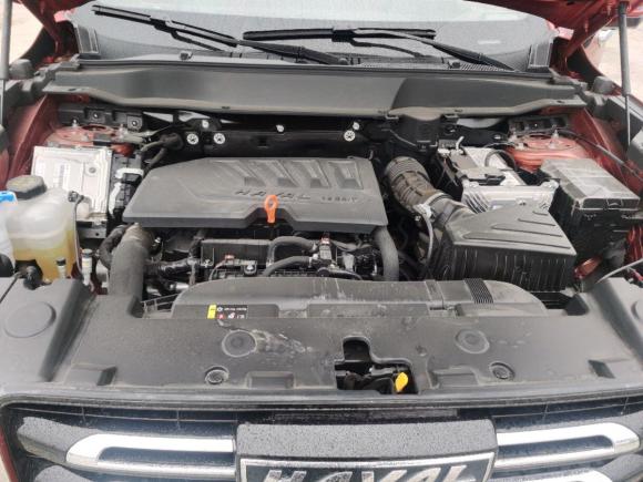 [嘉兴·浙F] 二手哈弗哈弗大狗2021款 1.5T DCT两驱边牧版