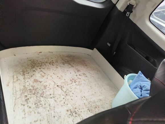 [苏州·苏E] 二手东风风行风行SX62019款 1.6L 手动豪华型 国VI