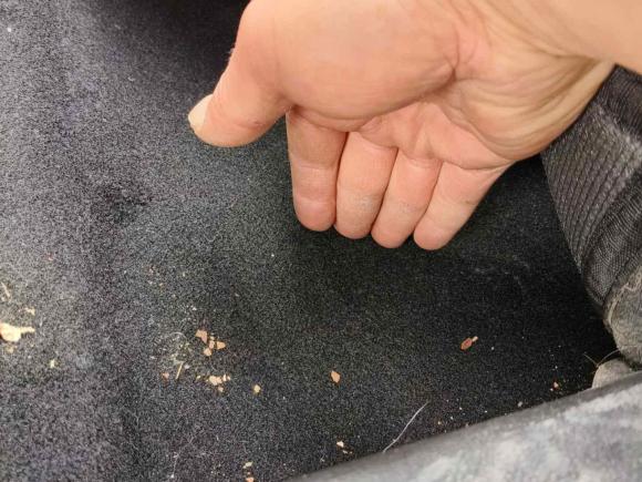 [无锡·苏B] 二手宝骏宝骏3602019款 1.5L 手动豪华型 国VI