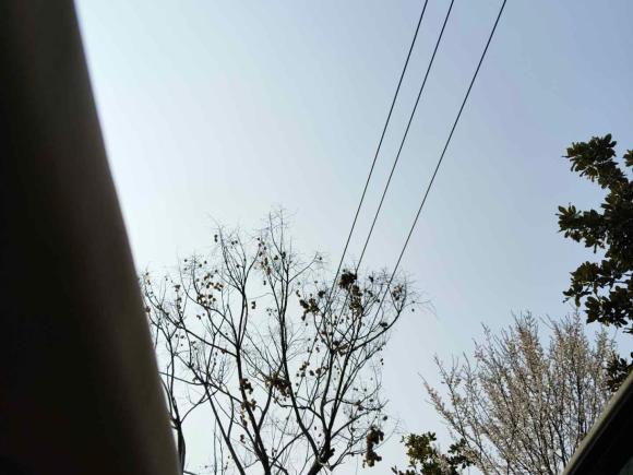 [湖州·浙E] 二手凯迪拉克SLS赛威2010款 3.0L 精英型