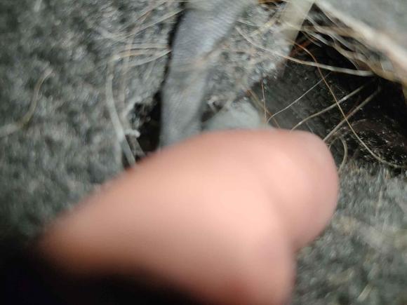 [南京·粤A] 二手小鹏小鹏G32022款 G3i 460G+