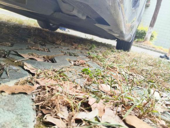 [上海·沪F] 二手本田雅阁2022款 锐·混动 2.0L 幻夜·锐智版