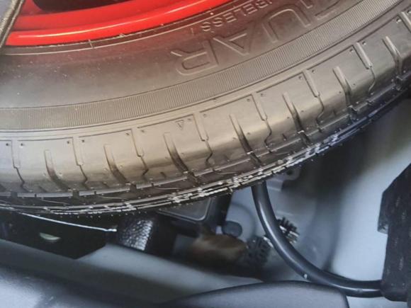 [嘉兴·浙C] 二手捷豹捷豹XEL2020款 2.0T 200PS R-DYNAMIC S进取运动版