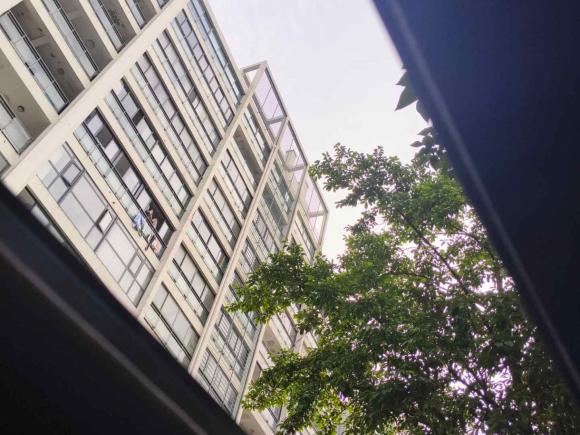 [杭州·豫Q] 二手本田英仕派2019款 260TURBO 精致版 国VI