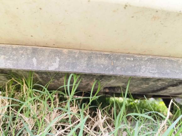 [西安·陕A] 二手起亚起亚K22017款 三厢 1.4L MT GLS