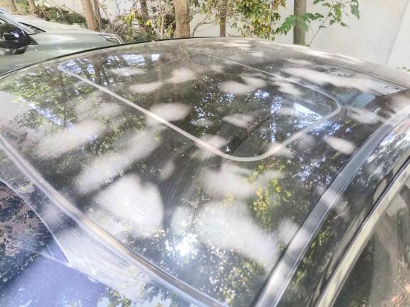 [上海·沪A] 二手日产天籁2018款 2.0L XL 智进版