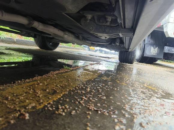 [上海·皖K] 二手红旗红旗HS72021款 2.0T DCT两驱智联旗享版