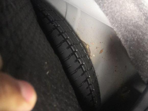 [上海·沪C] 二手本田思域2016款 220TURBO CVT尊贵版