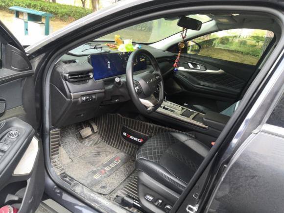 [南京·苏L] 二手星途星途凌云2021款 290T 两驱星耀版