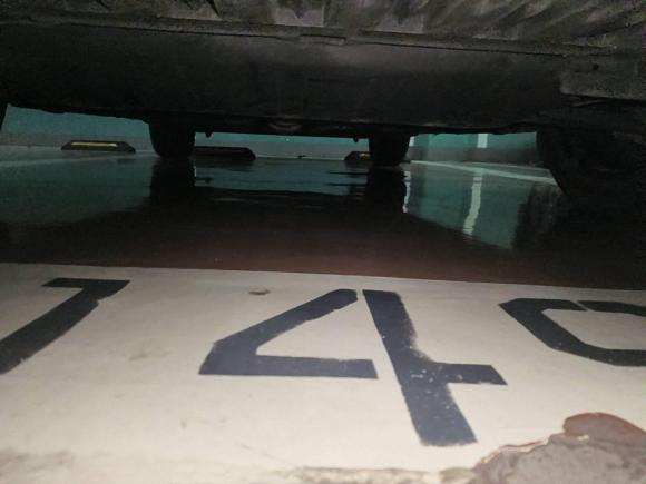 [合肥·皖A] 二手雷诺风朗2015款 2.0L 时尚版