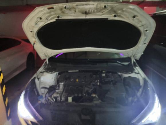 [杭州·浙F] 二手现代伊兰特2021款 1.5L CVT LUX尊贵版