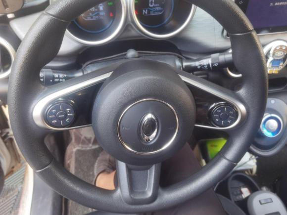 [金华·浙G] 二手欧拉欧拉R12019款 351km 亲子版