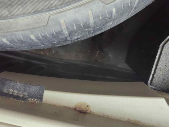 [北京·京N] 二手雷诺科雷傲2010款 2.5L 两驱舒适型