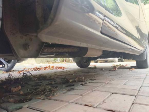 [武汉·鄂A] 二手东风风行菱智2017款 M3L 1.6L 7座舒适型