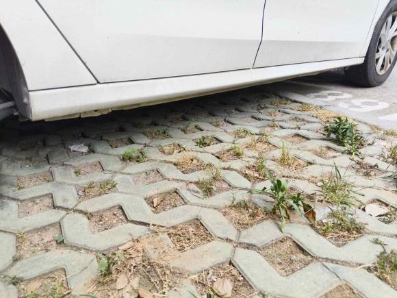 [南京·苏A] 二手雪铁龙爱丽舍2016款 1.6L 自动时尚型