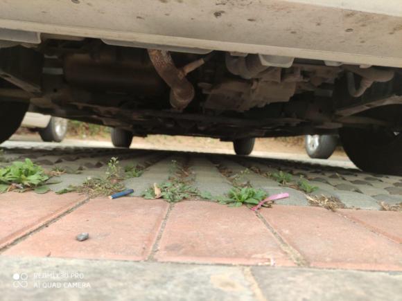 [济南·鲁C] 二手雪铁龙爱丽舍2014款 1.6L 自动时尚型