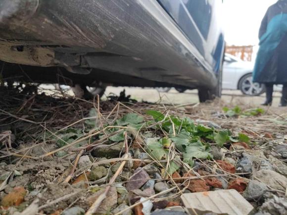 [杭州·苏B] 二手铃木雨燕2011款 1.5L 自动运动版