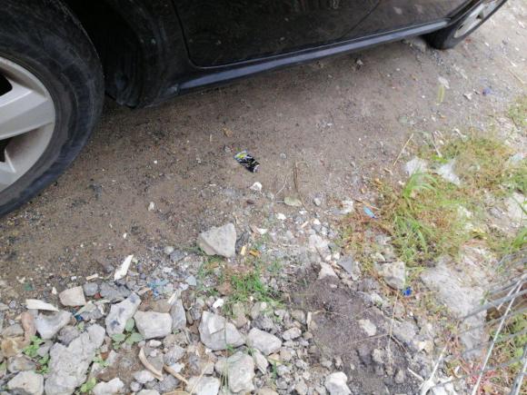 [上海·皖H] 二手大众朗逸2011款 1.6L 手动品雅版