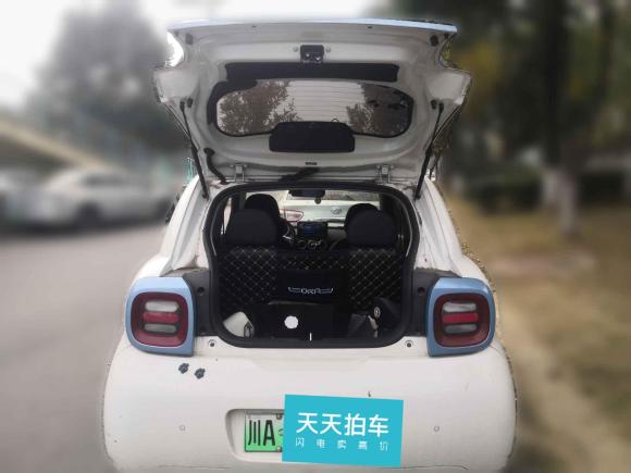 [成都·川A] 二手欧拉欧拉黑猫2019款 351km 亲子版