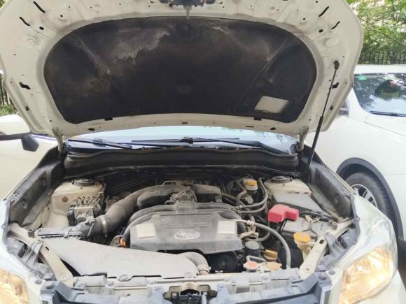 [佛山·粤X] 二手斯巴鲁森林人2015款 2.0i 特装纪念版