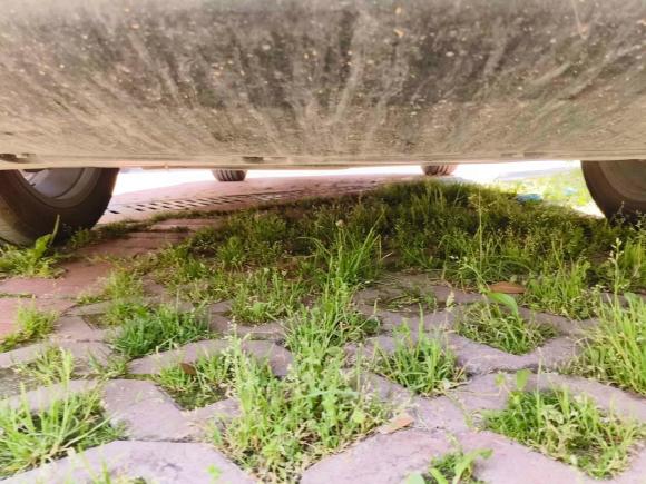 [西安·陕U] 二手丰田威飒2023款 2.0L CVT两驱尊贵版