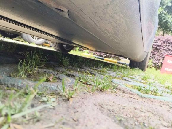 [金华·浙G] 二手特斯拉Model Y2022款 改款 后轮驱动版