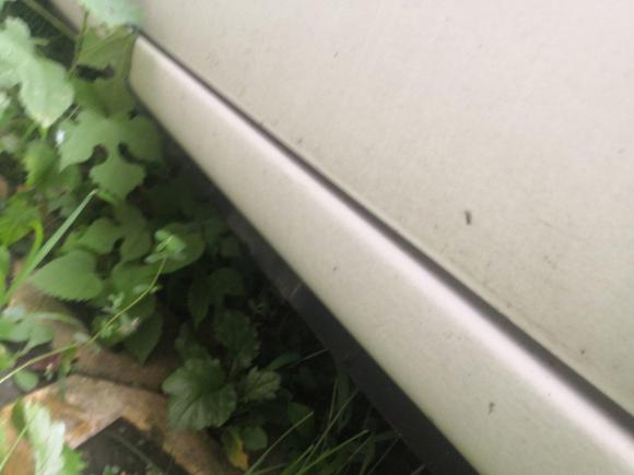 [济南·鲁A] 二手马自达马自达52013款 2.0L 自动舒适型