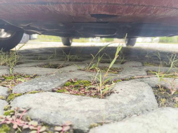 [南通·苏F] 二手铃木雨燕2011款 1.5L 自动运动版