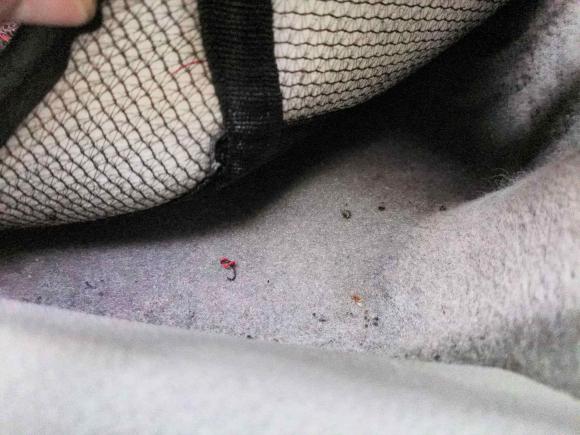 [合肥·皖A] 二手福特蒙迪欧-致胜2011款 2.3L 时尚型