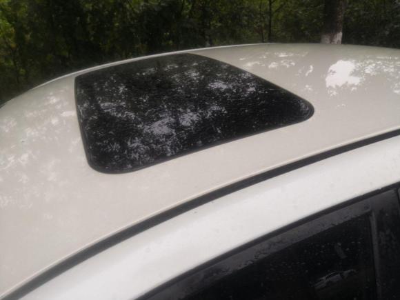 [成都·川A] 二手启辰启辰D602018款 1.6L 手动智联精英版