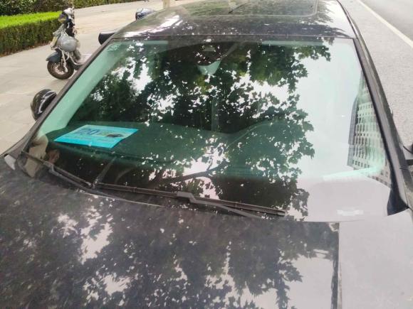 [上海·沪B] 二手大众帕萨特2023款 330TSI 星空豪华版