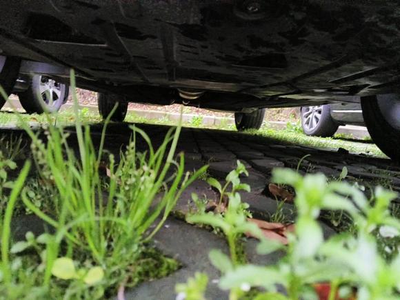 [南通·苏F] 二手领克领克012021款 2.0TD 四驱劲Halo