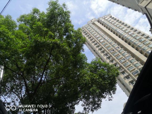 [上海·沪A] 二手比亚迪唐新能源2017款 2.0T 唐100